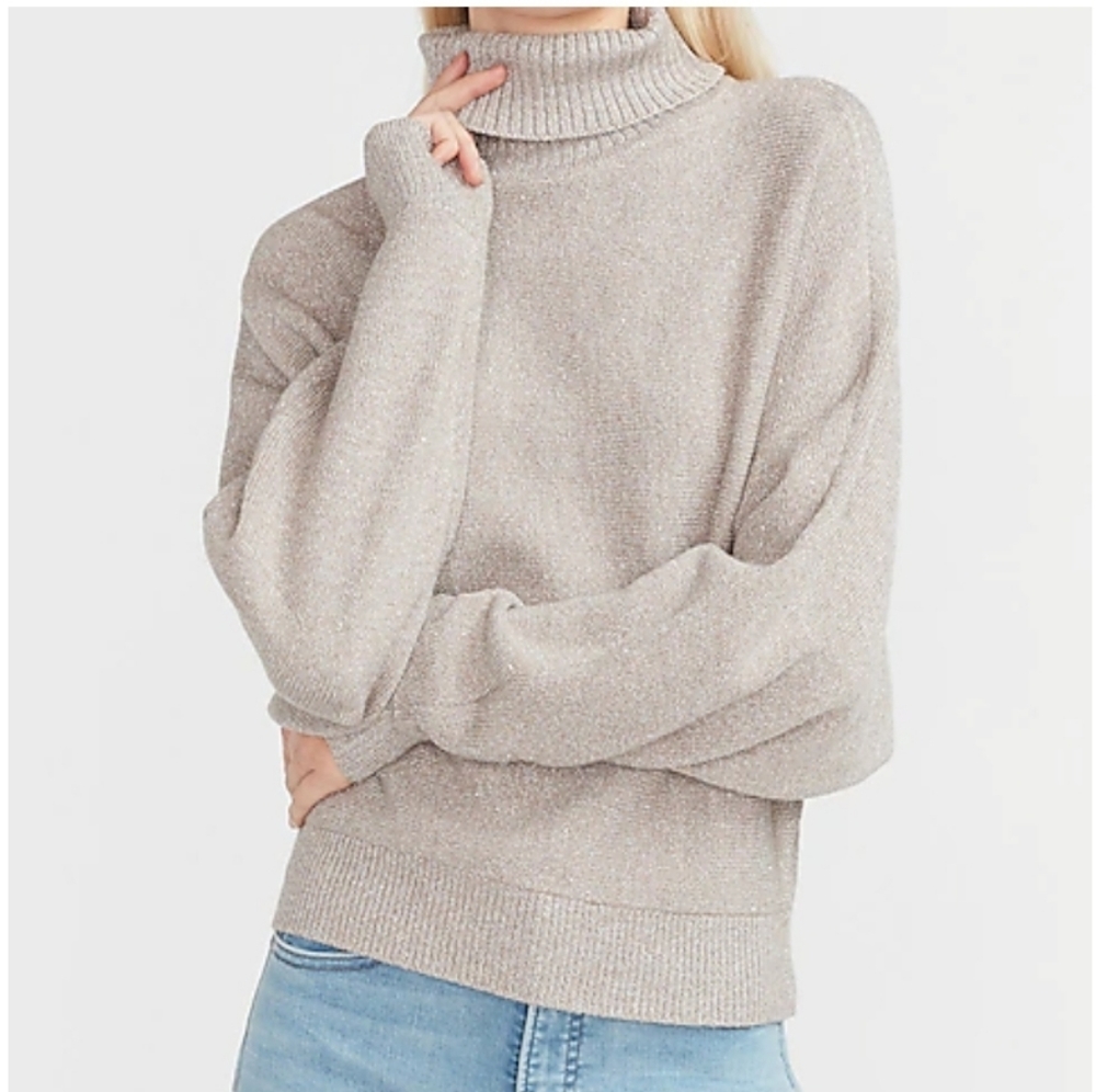 NWT Express Metallic Dolman Sleeve Turtleneck Sweater